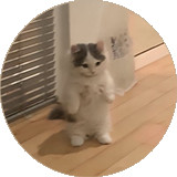 MICHI