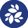 NKN