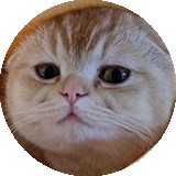 TAOCAT